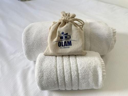 Billede fra billedgalleriet på Cannes 3 BR 3 bath close to Palais & Croisette by Olam Properties i Cannes