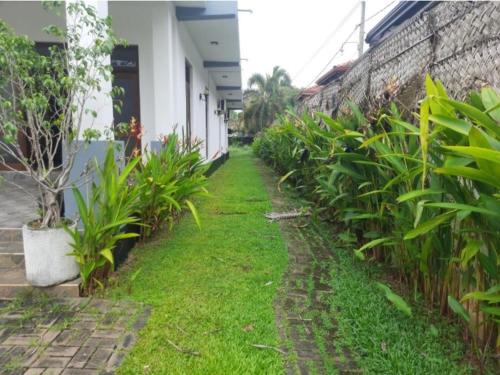 a yard with plants next to a building at Negombo Royal Villa by Oviniru in Negombo