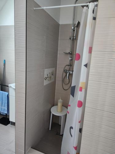 a shower with a shower curtain in a bathroom at Nagyi Apartman Kecskemét in Kecskemét