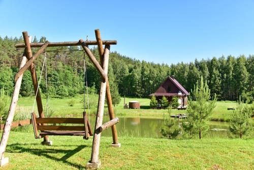 a swing in a field next to a lake at Pundeliškių sodyba in Skynimai