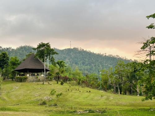 a field with a hut in the middle of a field at Sheridan Organic Farm and Resort in Maratapi