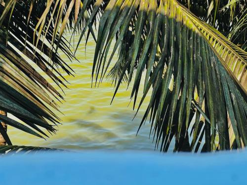 a close up of a palm tree next to the water at Touch Down Family Restaurant & hotel in Katunayake