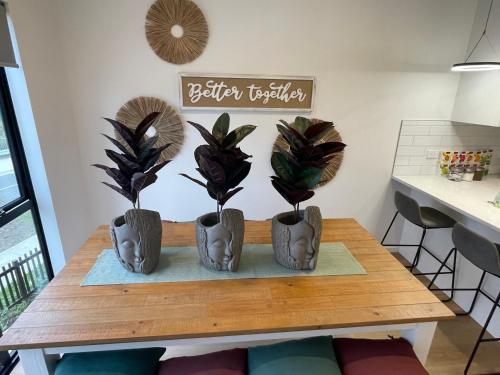 a table with three potted plants on it at Flat Bush Holiday Accomodation in Auckland