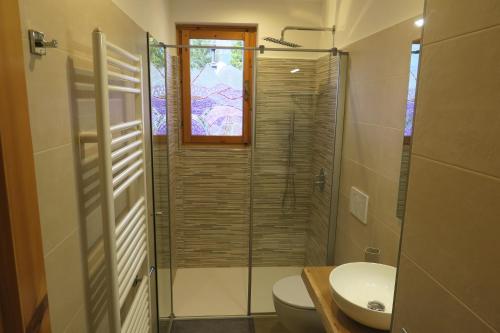 La salle de bains est pourvue d'une douche, de toilettes et d'un lavabo. dans l'établissement Casa Pippi, à Ledro