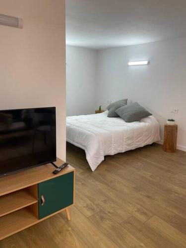 a bedroom with a bed and a flat screen tv at Apartamento Casa Cesárea in Cedeira