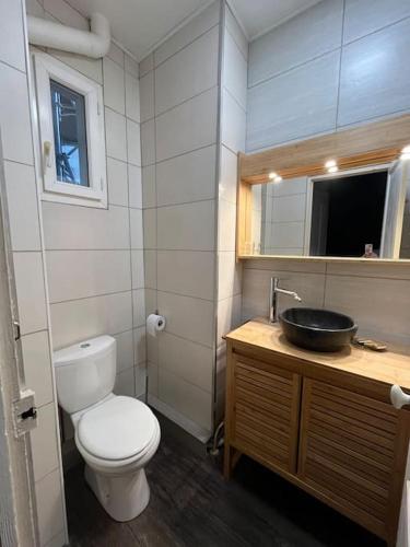 une petite salle de bain avec toilettes et lavabo dans l'établissement Le cocon urbain, à Limoges