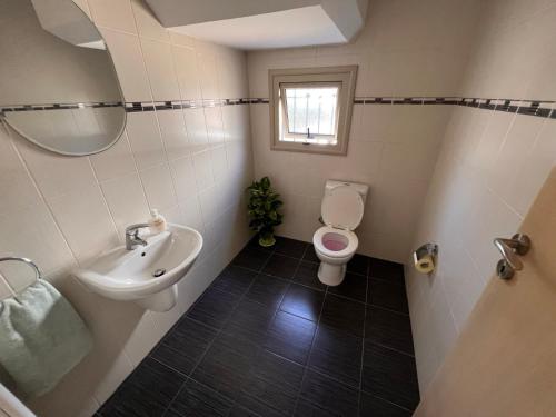a bathroom with a sink and a toilet and a mirror at Villa Thalassa Polyxenia in Protaras