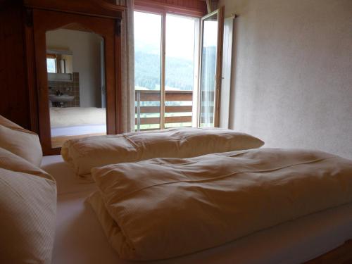 3 łóżka w pokoju z dużym lustrem w obiekcie Wenk Elisabeth w mieście Wildhaus