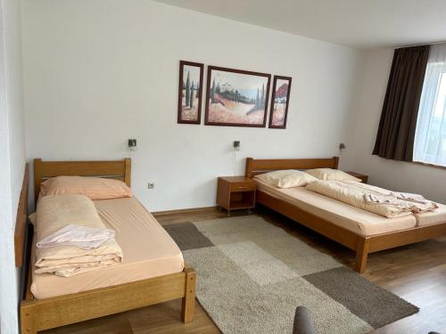 1 dormitorio con 2 camas y alfombra en Penzión Uhliská, en Nižná