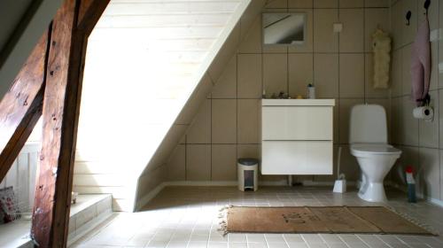 a bathroom with a toilet and a sink at Pehtoorin Kammarit in Iltasmäki