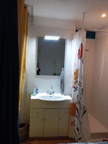 une salle de bain avec un lavabo et un miroir dans l'établissement Camargue, à Saintes-Maries-de-la-Mer