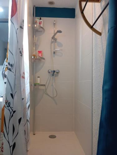 une salle de bain avec une douche avec un rideau de douche dans l'établissement Camargue, à Saintes-Maries-de-la-Mer