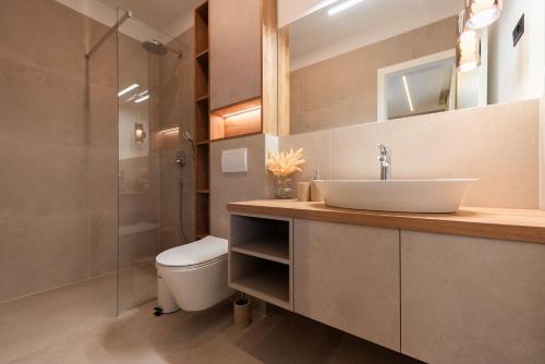 ein Bad mit einem Waschbecken, einem WC und einer Dusche in der Unterkunft Villa Petrea in Novigrad