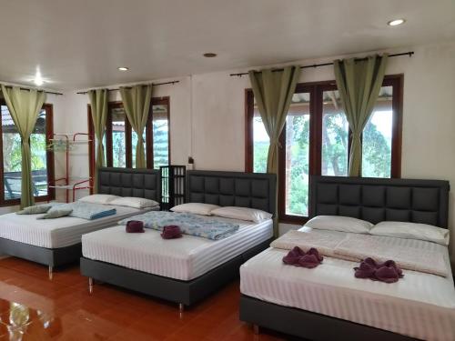 3 Betten in einem Zimmer mit Fenstern in der Unterkunft ภูริรักษ์ โฮมสเตย์ in Ban Pha Saeng Lang