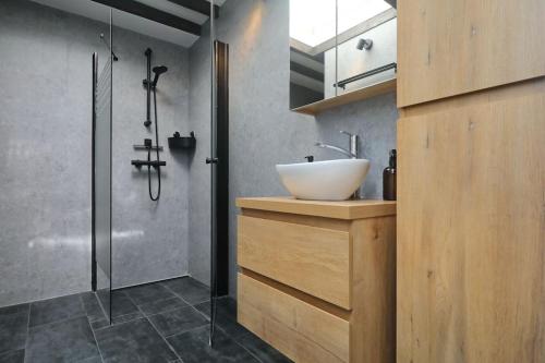 ノールトウェイクにあるHave a nice stay! - The Dutch nabij strand en boulevardの洗面台とシャワー付きのバスルーム