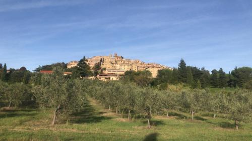 ein großes Gebäude auf einem Hügel mit Bäumen in der Unterkunft Fattoria Podere i Luoghi in Casale Marittimo