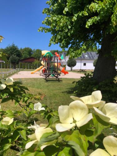 un parc avec une aire de jeux en arrière-plan et des fleurs blanches dans l'établissement Dom Wypoczynkowy Olivia, à Darłówko