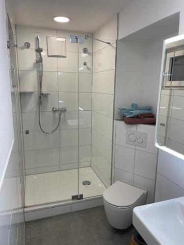 une salle de bain avec douche et toilettes dans l'établissement Ferienwohnung City Priebe Austraße, à Friedrichshafen