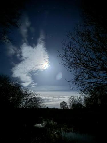 a moon in the sky over a field at night at Zur Amsel in Damnatz