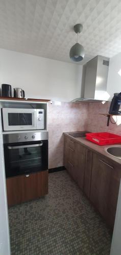 een keuken met een magnetron en een wastafel. bij Villa Argentine T2 classé 2* thème cosy in Dax