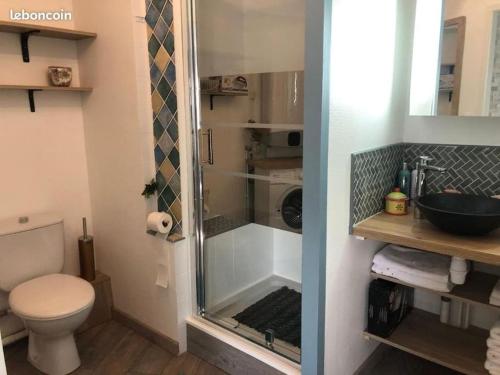 une salle de bain avec une douche avec des toilettes et un lavabo dans l'établissement Lac Christus - Studio classé 3*, à Saint-Paul-lès-Dax