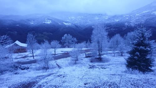z góry widok na pokryte śniegiem pole porośnięte drzewami w obiekcie Mountain View w mieście Foča