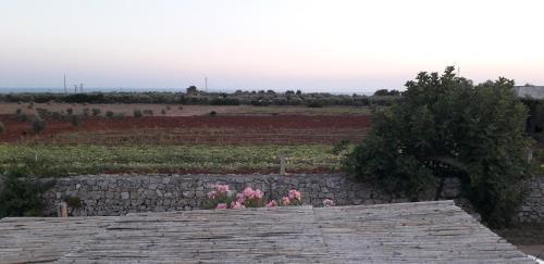 eine Steinmauer neben einem Feld mit rosa Blumen in der Unterkunft Liama Macchia degli Specolizzi in Lido Marini