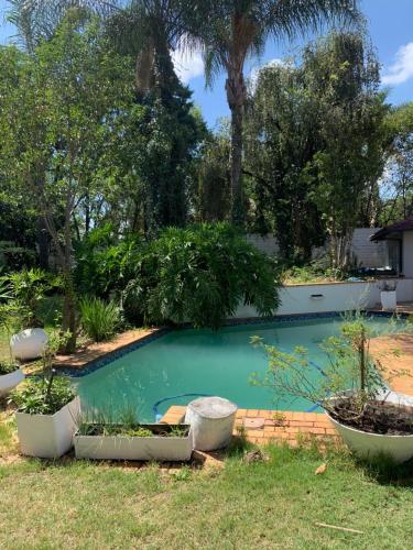 a swimming pool in a yard with trees and plants at Urban Fourways Haven in Sandton