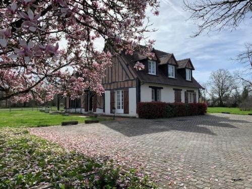 une maison avec un arbre en fleurs devant dans l'établissement Propriété 12 personnes en Sologne, à La Ferté-Imbault