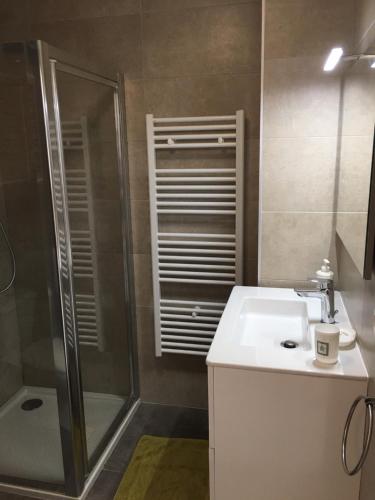 uma casa de banho com um lavatório e um chuveiro em Gites Ugliastru PORTICCIO em Eccica-Suarella