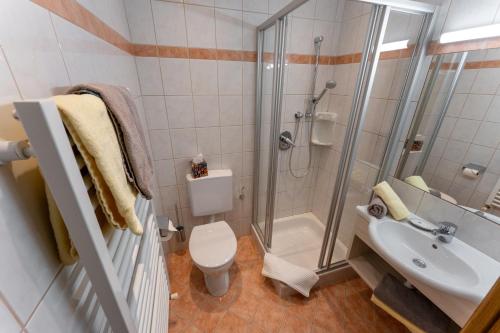 a bathroom with a shower and a toilet and a sink at Pension Zirbenhof in Ramsau am Dachstein