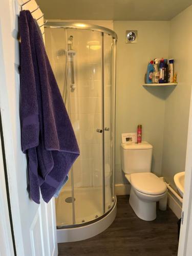 a bathroom with a shower and a toilet with purple towels at The Cabin in Hockham