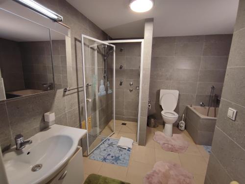 y baño con ducha, lavabo y aseo. en La Paula für Monteure, en Altenmedingen