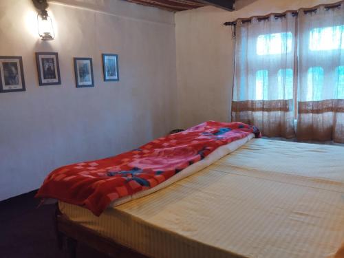 Gallery image of NoM Deshek Homestay, Kibber, Spiti in Spiti