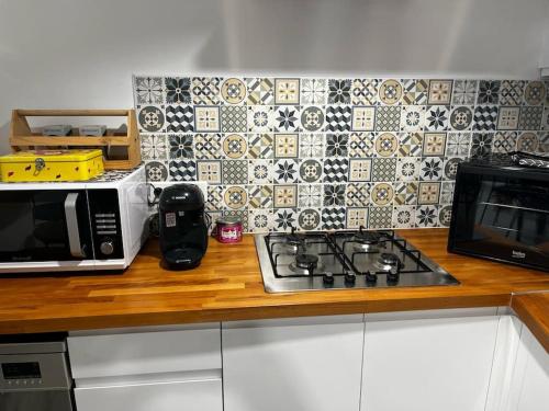 a kitchen counter with a microwave and a toaster oven at LE CHATEL BOURGEOIS in Appoigny