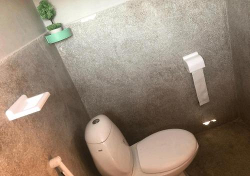 穆札法拉巴德的住宿－Outdoor Adventures Resort，一间带卫生间的浴室和墙上的植物