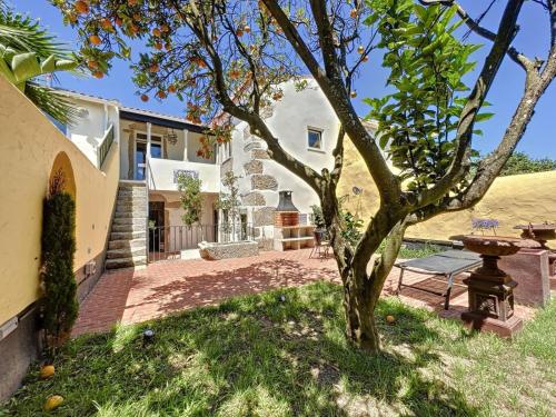 a house with a tree in the yard at Villa Victoria in Caminha