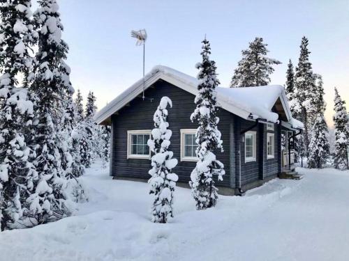 domek na śniegu z drzewami pokrytymi śniegiem w obiekcie Arctic Home Experience w mieście Äkäslompolo