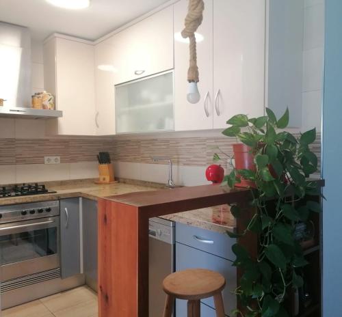 una cucina con armadi bianchi e una pianta in vaso di Casa Paraiso a Almería