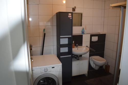 La petite salle de bains est pourvue d'un lavabo et d'un lave-linge. dans l'établissement Apartment in 48599 Gronau Monteurzimmer, à Gronau