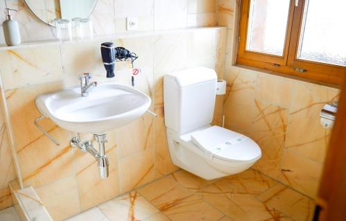 a bathroom with a toilet and a sink at Workation Apartments - 24-7 Self-Checkin - Hotel Postigliun Sedrun in Sedrun