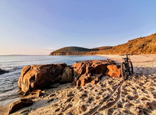 Una bicicleta estacionada en una playa cerca del agua en Agriturismo val martina, en Scarlino