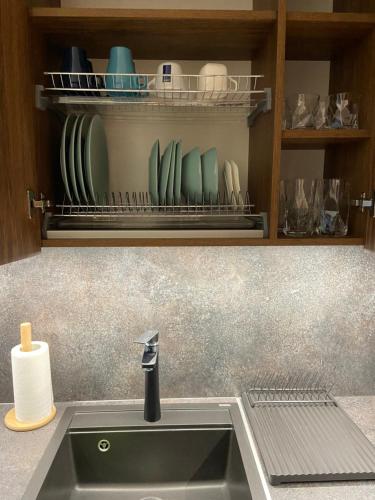 a kitchen sink with plates and dishes on a shelf at Eliana Apartments in Druskininkai