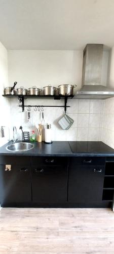 a kitchen with a sink and some pots on a shelf at Plattedijk - vakantiehuis 25-26 in Lemmer