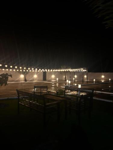 a group of benches in front of a building with lights at Gissah _farm in Ḩifrī