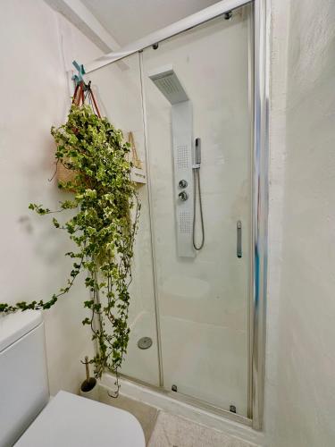 a shower in a bathroom with a toilet and a plant at Casa Klod Ibiza in Ibiza Town