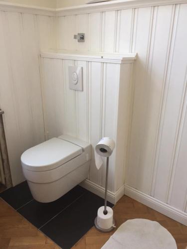 ein Bad mit einem weißen WC in einem Zimmer in der Unterkunft Gründerzeitzimmer mit Bad in Bonn