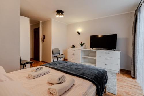 1 dormitorio con 1 cama con TV y vestidor en Centrum Wypoczynku i Rekreacji Rysy Krynica Zdrój, en Krynica-Zdrój