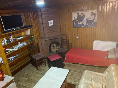 a living room with a bed and a fireplace at ARTISHA TRAVEL TBILISI in Tbilisi City