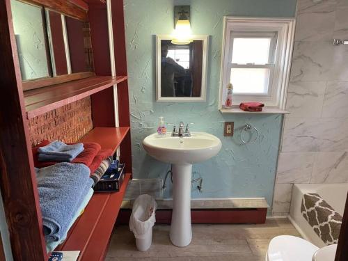 een badkamer met een wastafel, een spiegel en een wastafel bij Restored historic log cabin & deck on Lake Erie in Luna Pier